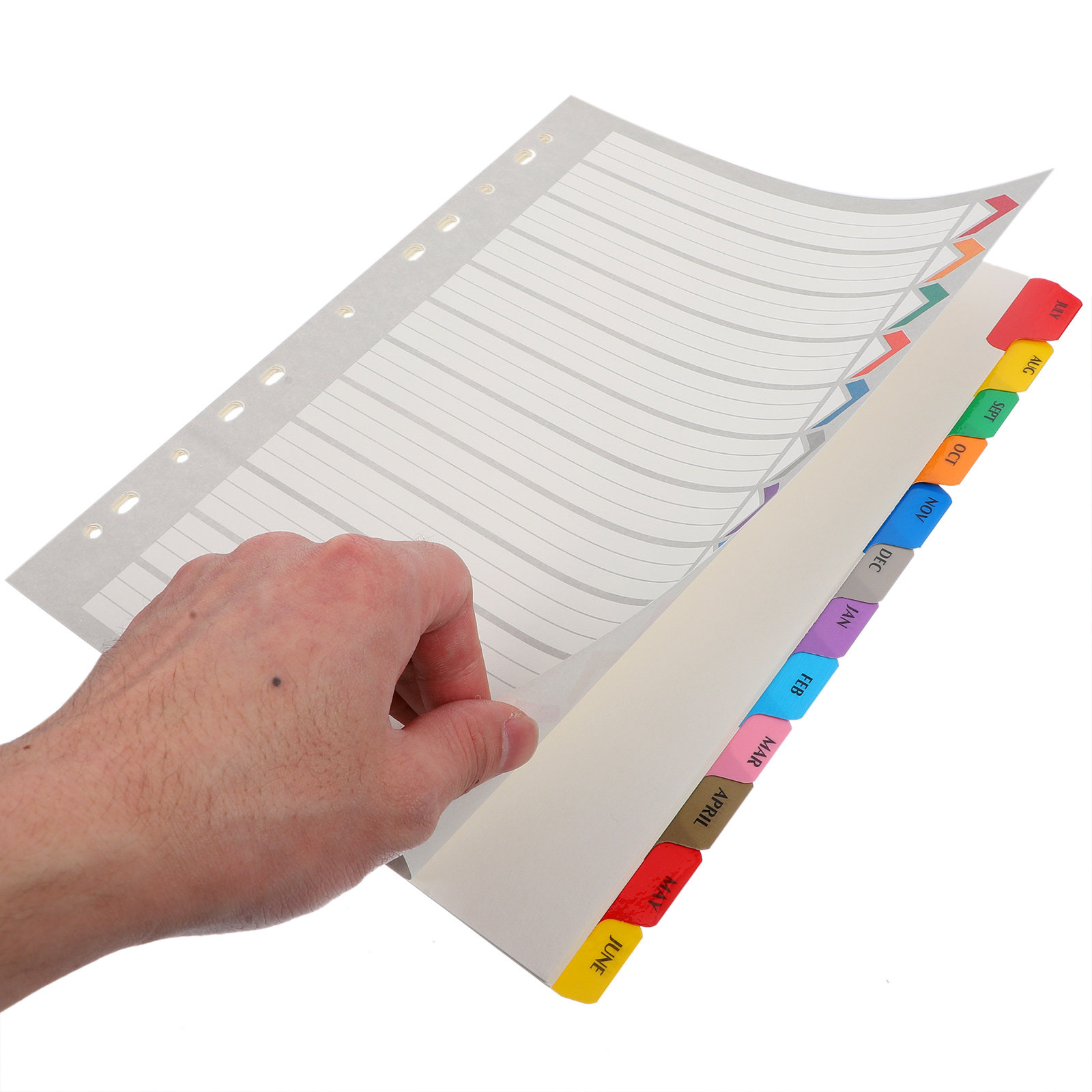 12 Blatt Trennblätter mit Regi – Index Tab Divider Bewertung und Preis