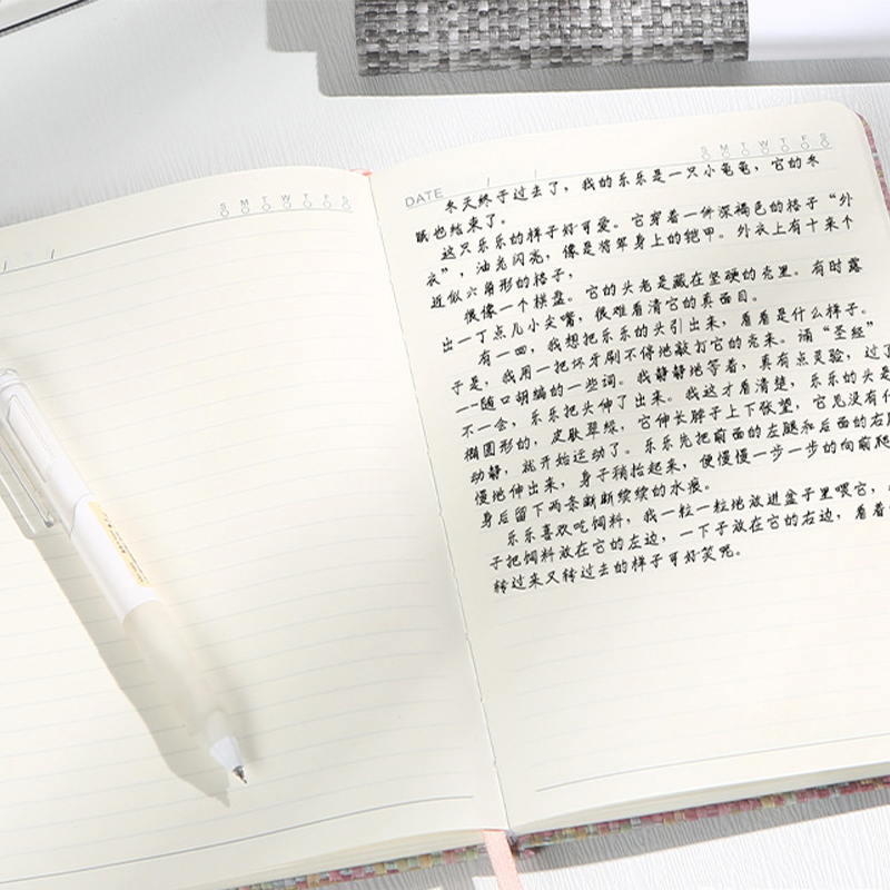 A5-Notizbuch, Leinenimitat, fe – Notebook Dotted A5 Bewertung und Preis