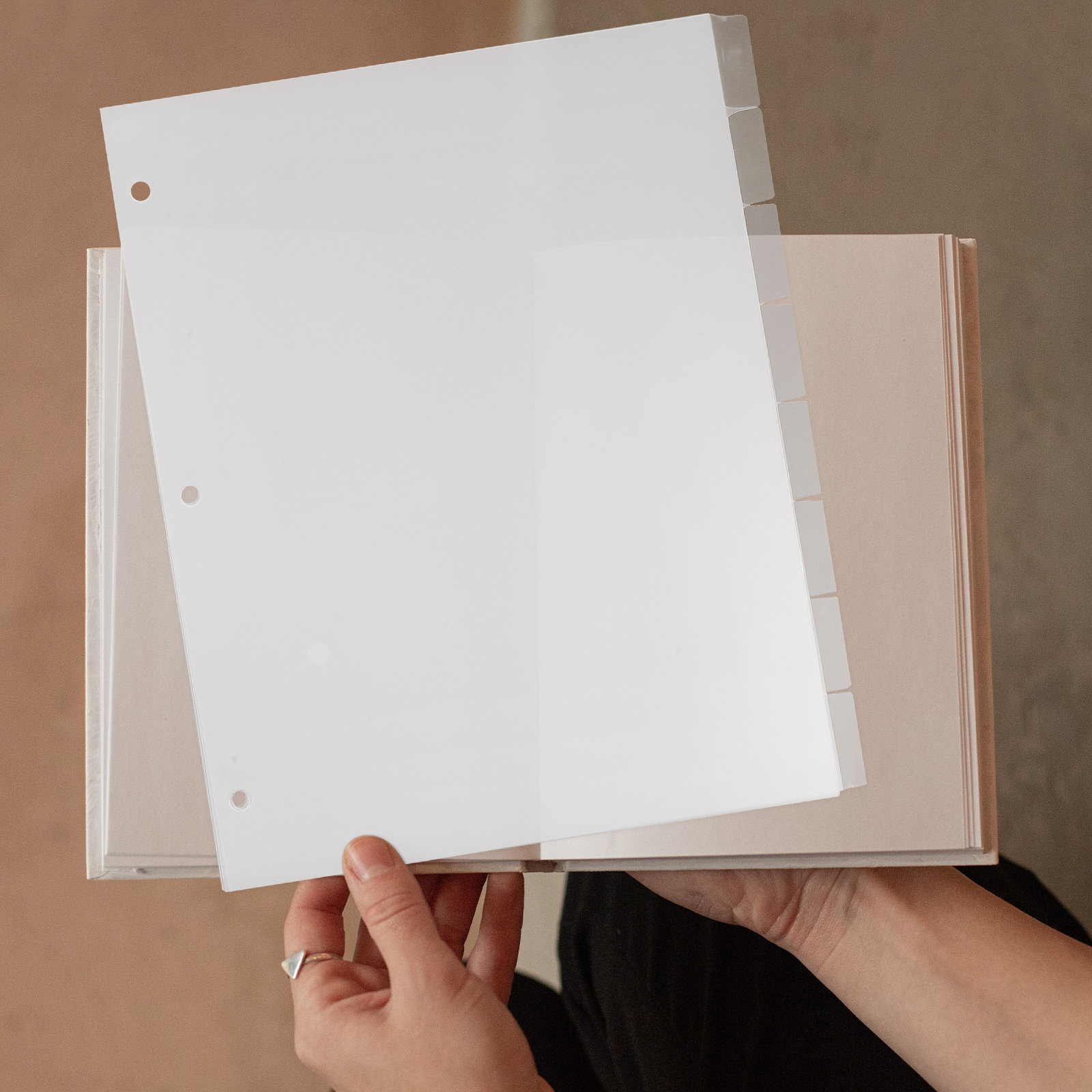 8 Blatt Register-Trennblätter  – Index Tab Divider Bewertung und Preis