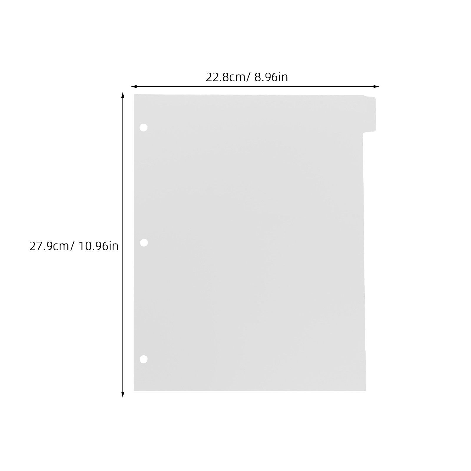 8 Blatt Register-Trennblätter  – Index Tab Divider Bewertung und Preis